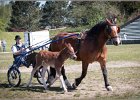 Pferd International 020